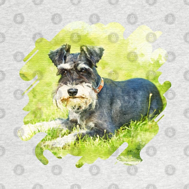 Miniature Schnauzer by Nartissima